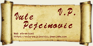Vule Pejčinović vizit kartica